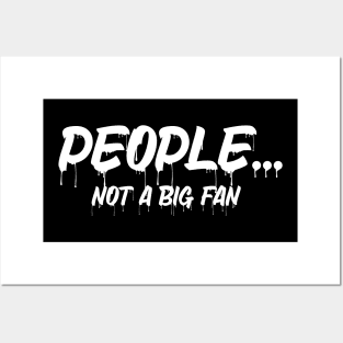 Funny People Not A Big Fan Introvert Sarcasm 4 Posters and Art